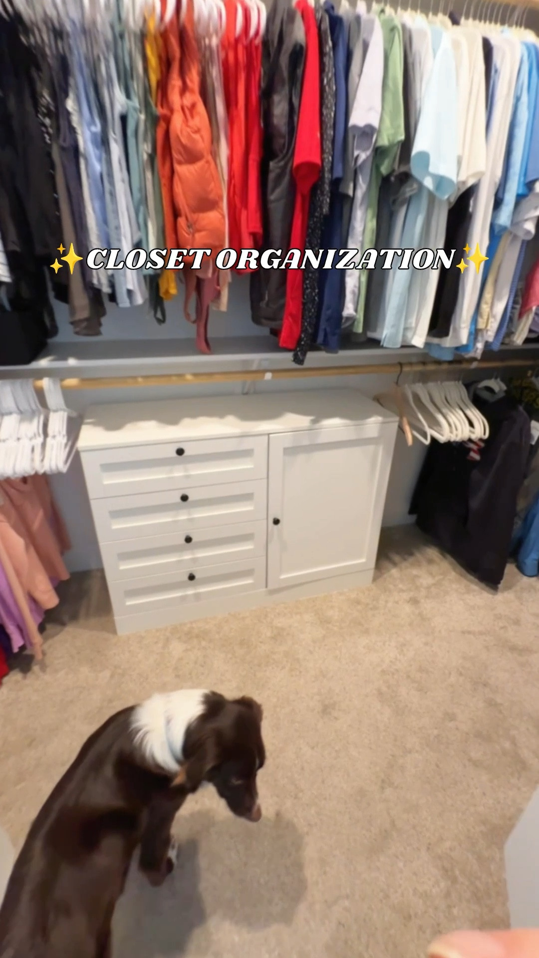 It’s practically Spring with the time change and perfect weather so I’m in full organization mode already!

Our closet was due for a cleanup and after rearranging around the house, this piece was left available! We’ve used it for shoe storage for years by the garage but the kids don’t have toddler feet anymore and it was time to level up.

I couldn’t find this exact piece on Amazon again but there’s endless cabinets and drawers that perfectly fit under 2 level shelving (even with the triangle brackets)!

I’ve linked some favs below (we have some of the drawer units and LOVE them!) - some of these are even on major spring sale!

Happy organizing! 😍

#LTKHome #LTKdayinmylife #LTKSpringSale