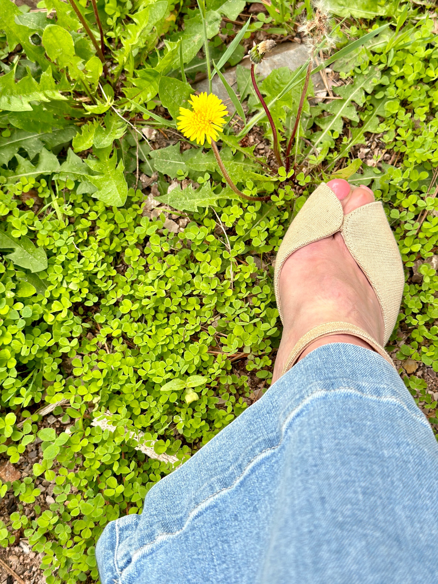 These espadrilles, though. Handcrafted by Castaner. #sustainable #slowfashion

#LTKSeasonal #LTKshoecrush
