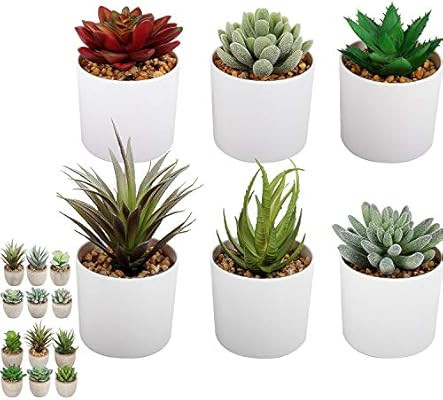 Succulents Plants Artificial Faux Succulent Fake Potted Plants - 6 Pack Large Flocking Succulents... | Amazon (US)