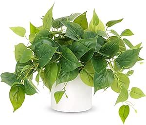 JPSOR Faux Plants Indoor, Pothos Small Fake Plants for Home Decor Indoor Fake Potted Plant Artifi... | Amazon (US)
