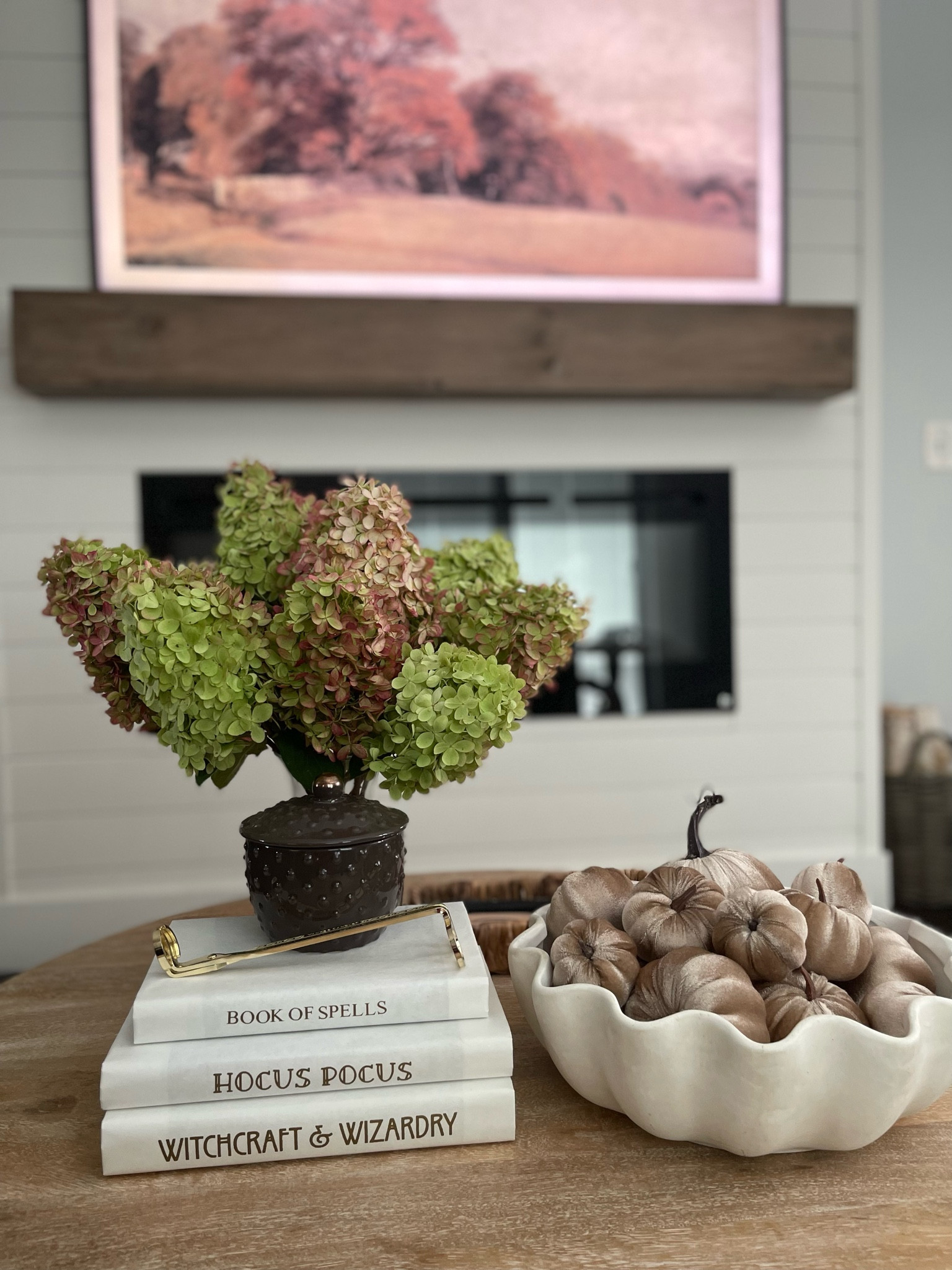 Fall coffee table, velvet pumpkins, electric fireplace, shiplap fireplace, scallop bowl, round coffee table, neutral living room 

#LTKfamily #LTKHalloween #LTKSeasonal