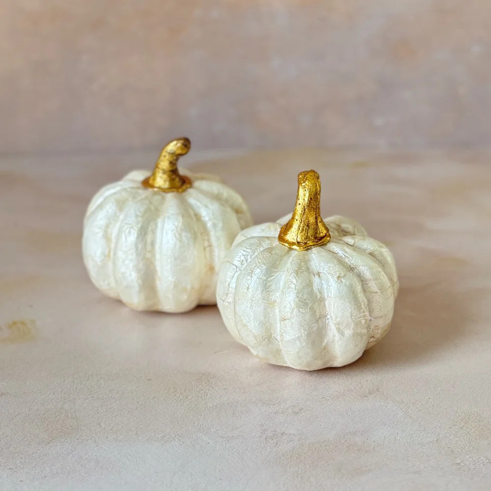 Capiz Ivory Pumpkin | Wayfair North America
