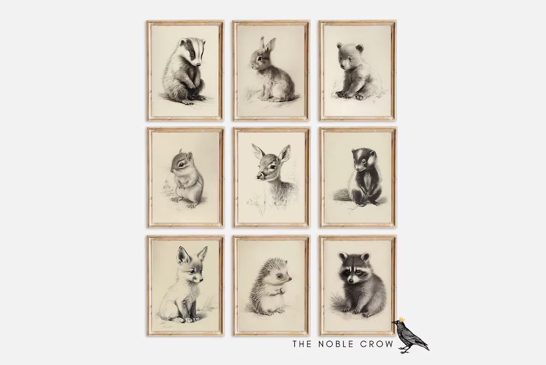 Woodland Baby Animal Gallery Wall Set of 9 Prints Nursery - Etsy | Etsy (US)