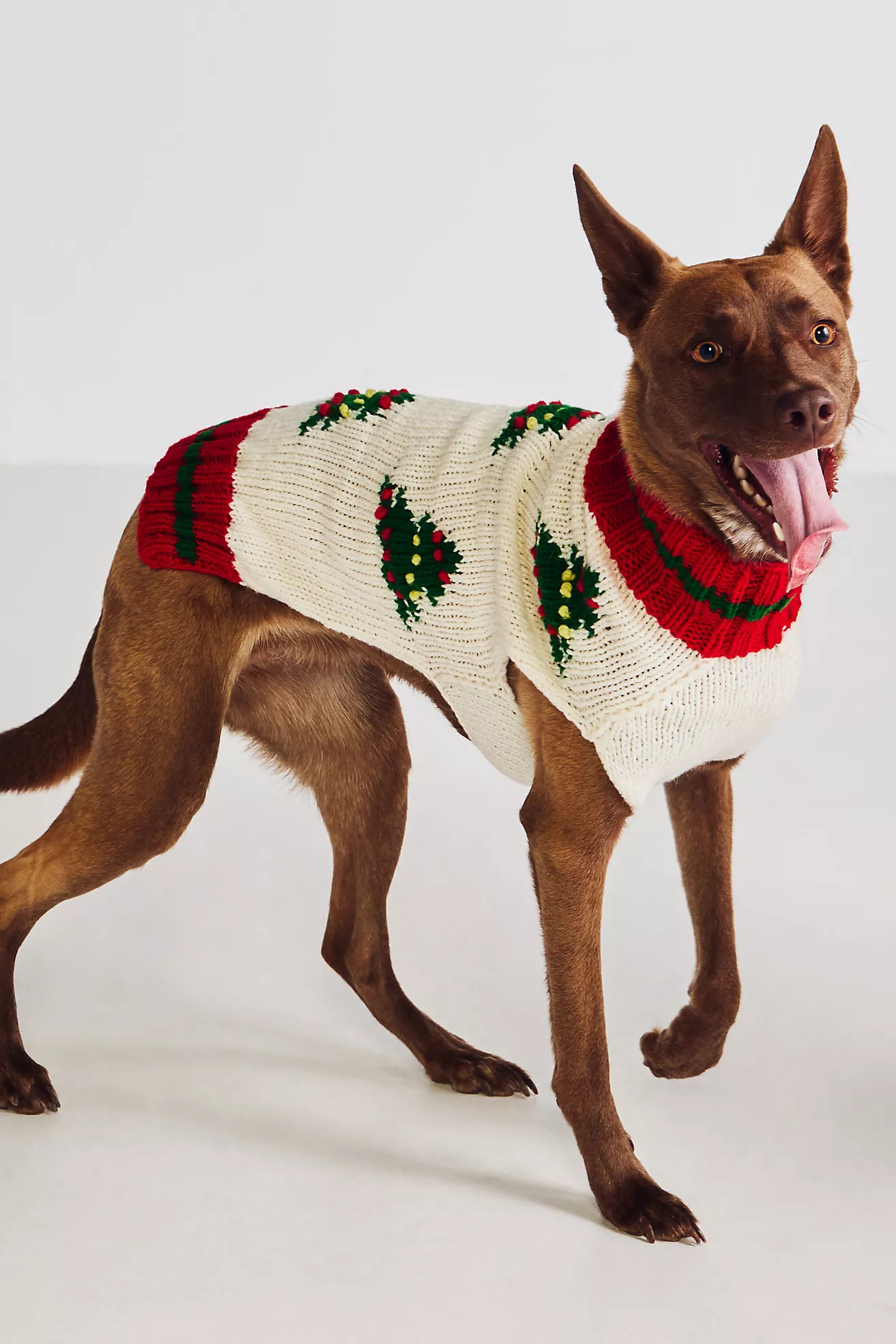 Hand-Knit Icon Christmas Pet Sweater | Anthropologie (US)