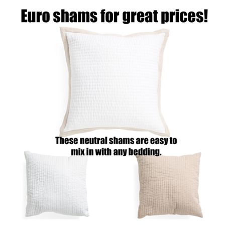 Quality euro shams can be pricey, but I found some for great prices! These would be easy to mix with any bedding  

#LTKhome #LTKunder50 #LTKsalealert
