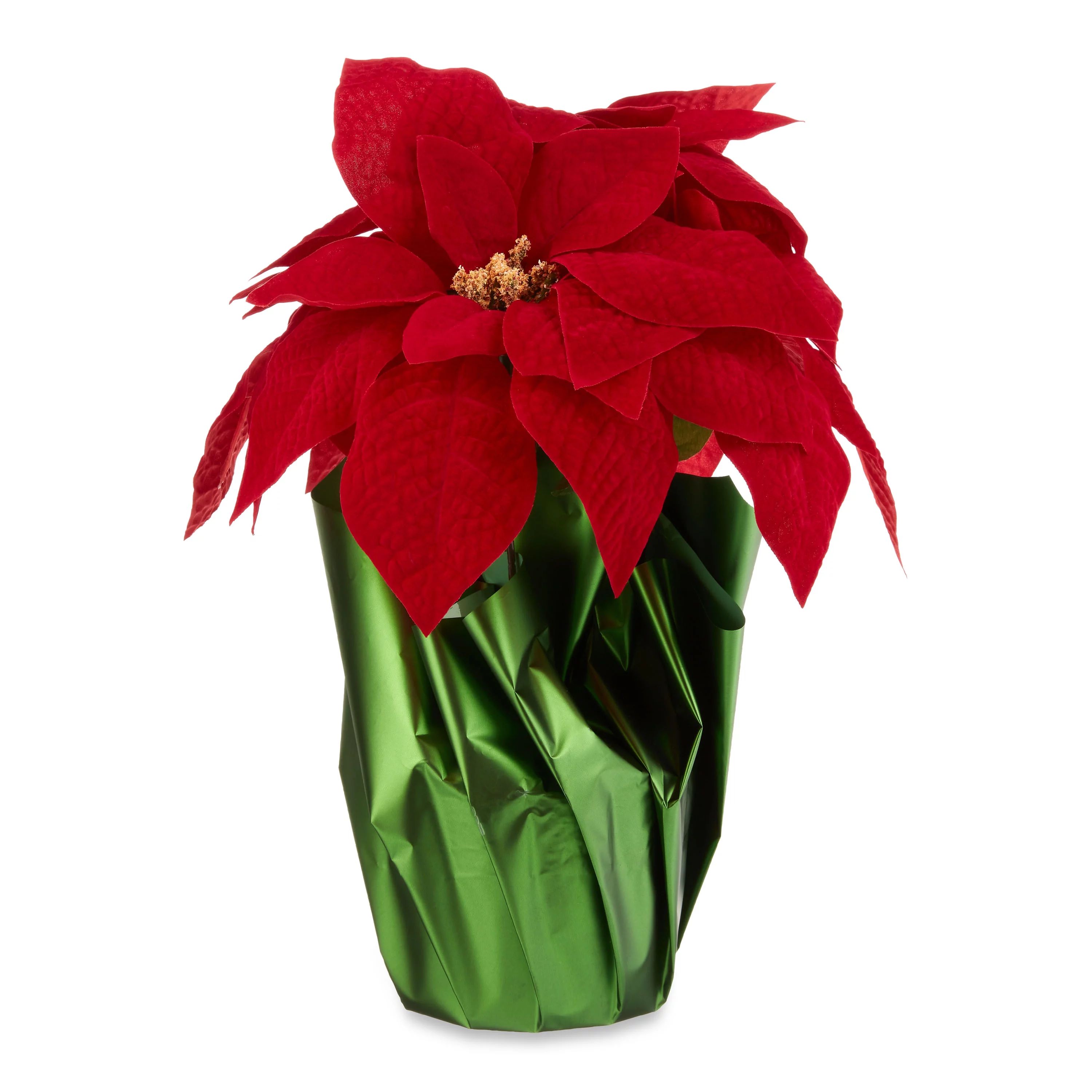 Holiday Time Red Velvet Poinsettia Pot - Walmart.com | Walmart (US)