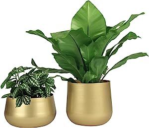 Vixdonos Gold Metal Flower Pots Brass-Toned Garden Planters, 7.1/6.3 Inch Indoor Round Succulent ... | Amazon (US)