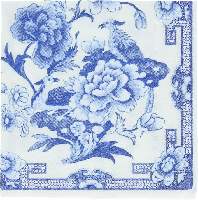 Entertaining with Caspari Cocktail Napkin, Blue and White, 20-Pack | Amazon (US)
