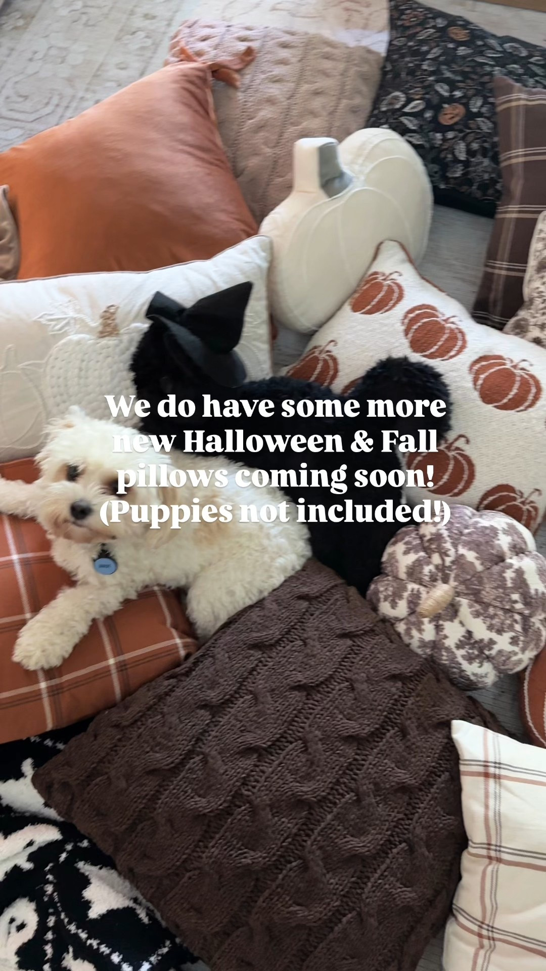 More new pillow styles coming soon! 

#LTKSeasonal #LTKHome