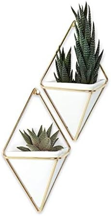 Umbra Trigg Hanging Planter Vase & Geometric Wall Decor Container - Great For Succulent Plants, A... | Amazon (US)