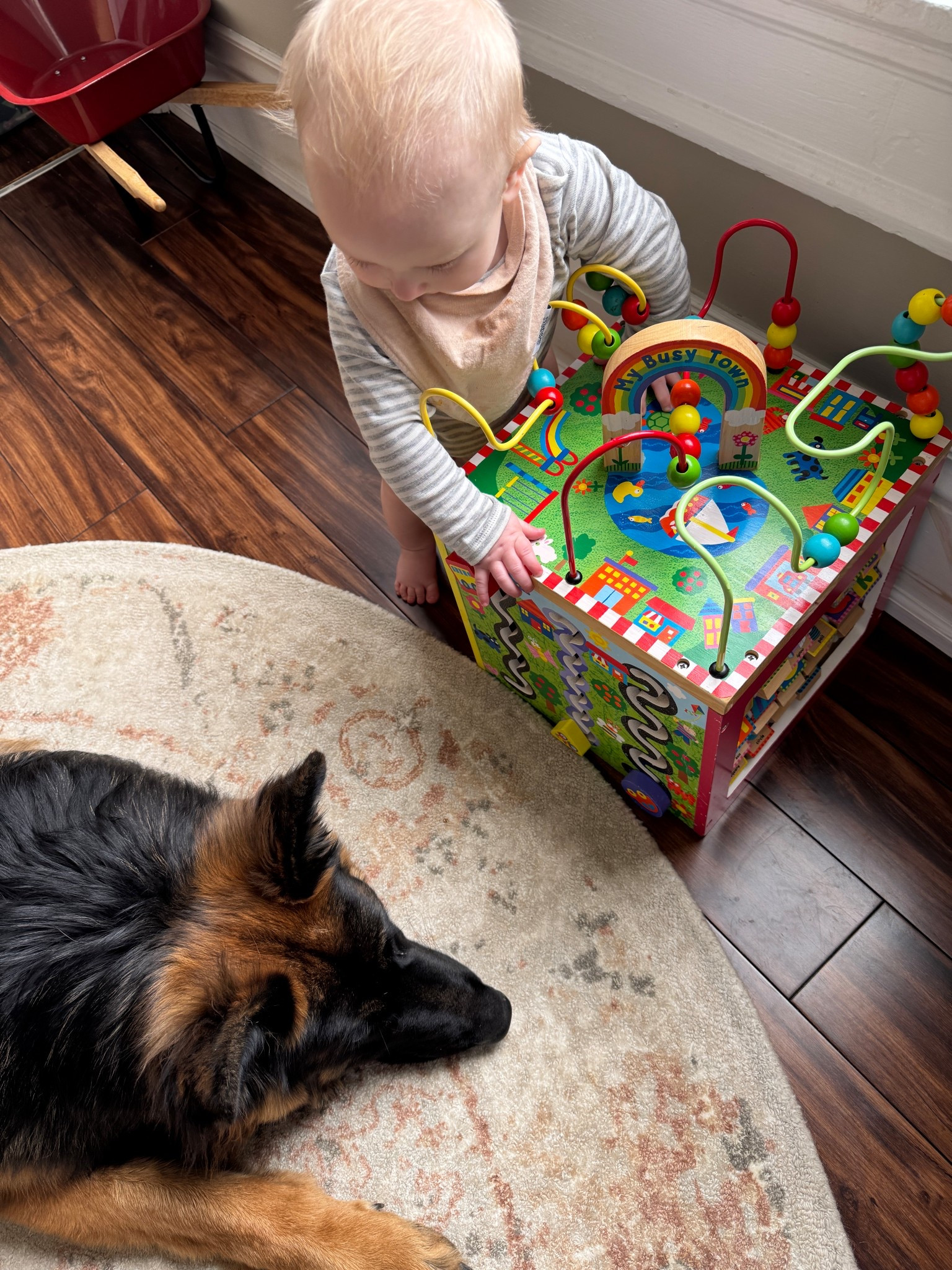Busy boy playing with his busy beads. 

#LTKFamily #LTKPets #LTKBaby