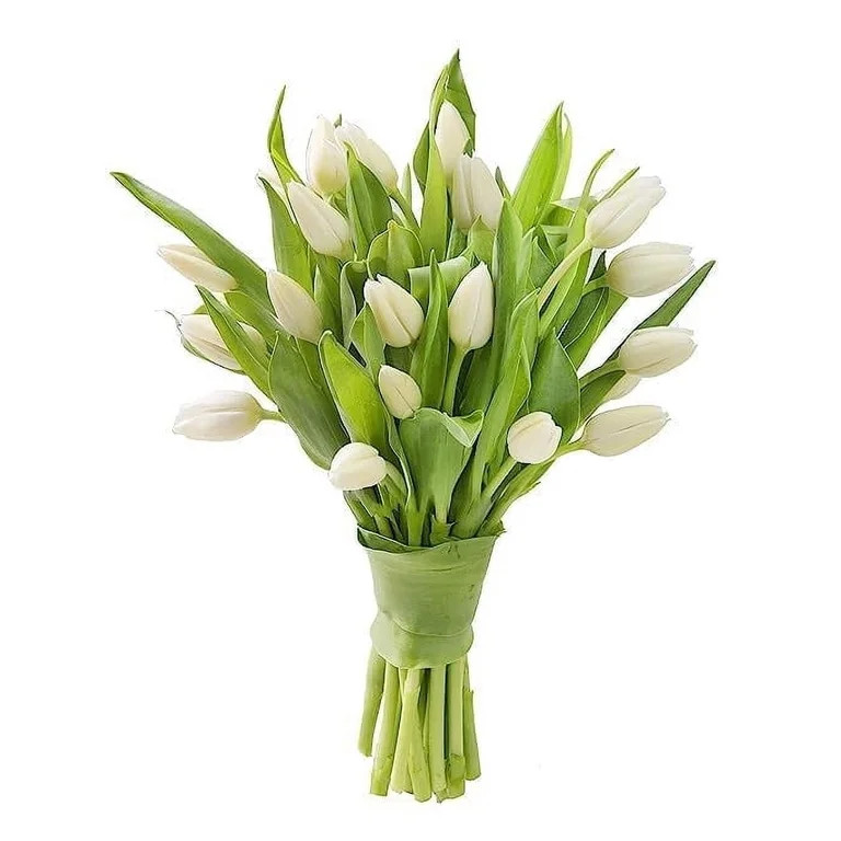 KaBloom :15 White Tulip, Next-Day Delivery, Gift for Every Occasion. | Walmart (US)