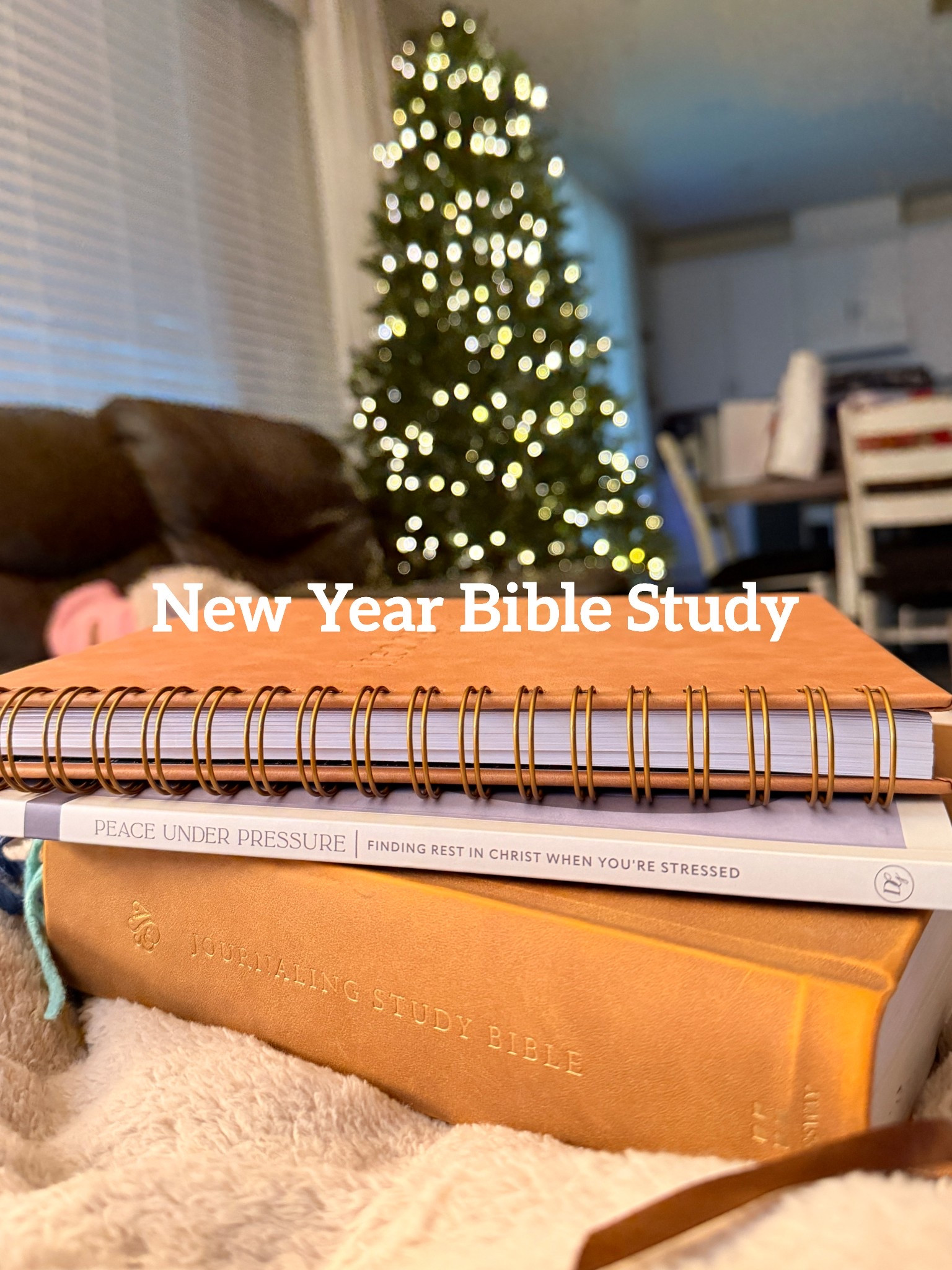 The final day of 2025 and so excited for the next year! Started the morning routine with this Peace Under Pressure study I am starting 2026 with. Praying The Lord’s Wisdom on the subject of stress and overwhelm will penetrate my whole body this year  

#LTKmorningroutine #LTKmomlife #LTKdayinmylife