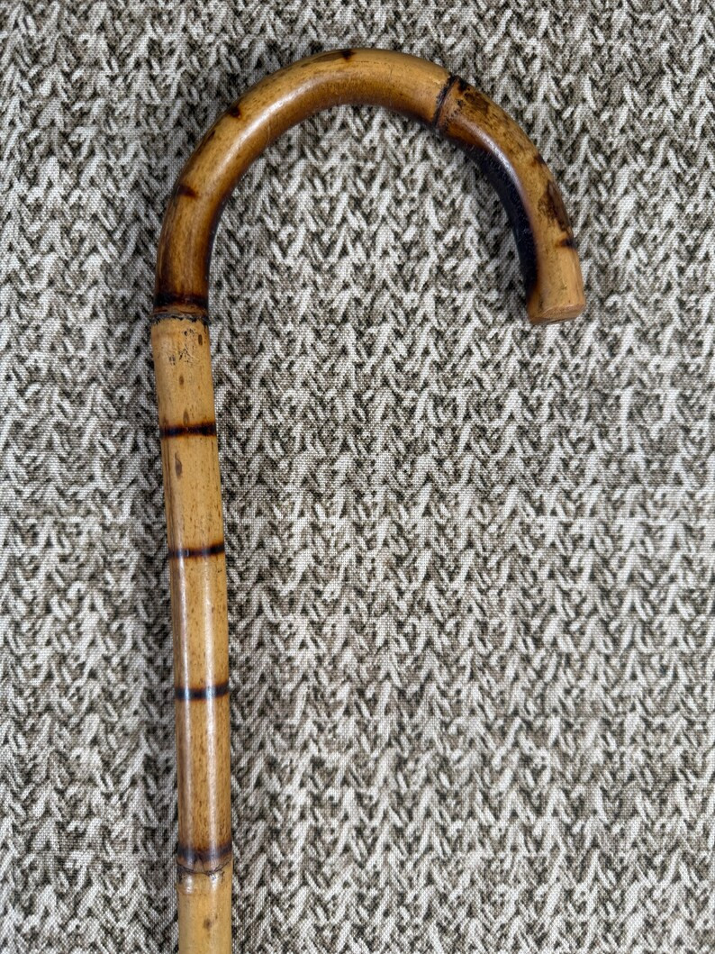 Vintage Bamboo Walking Stick with Dog Breed Markings – Fox Terrier Cane | Etsy (Global)