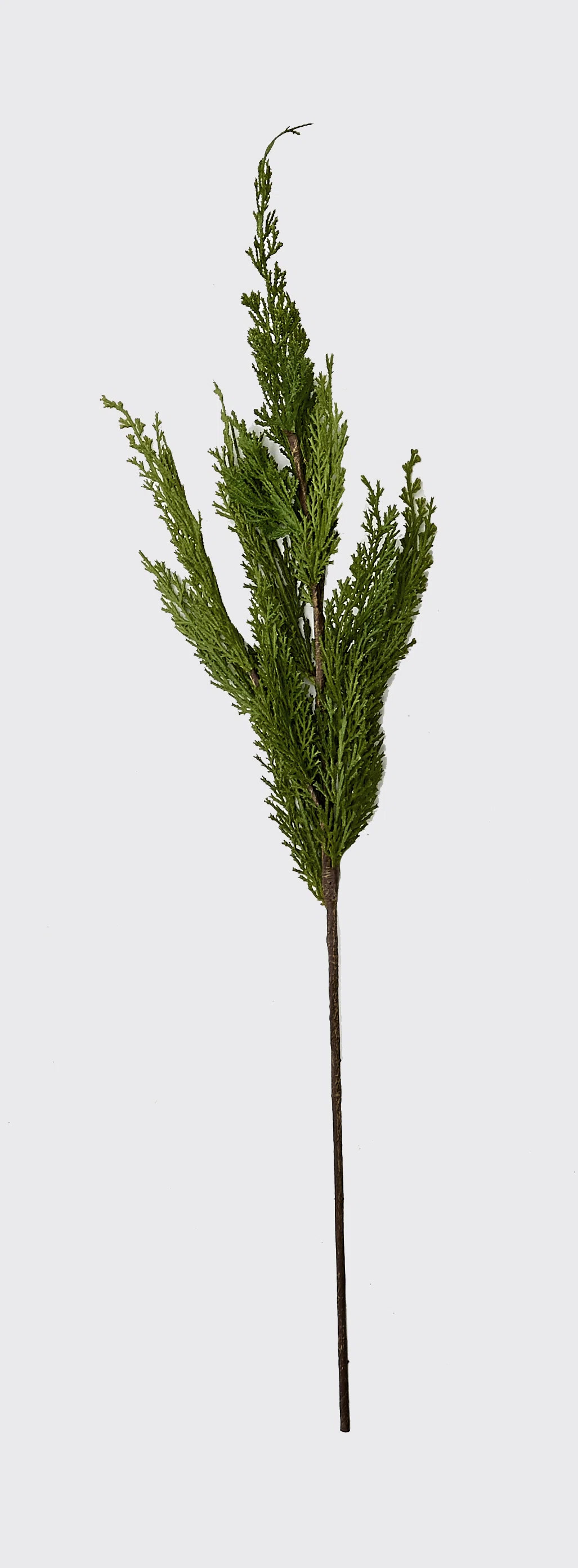 The Holiday Aisle® 30" Cedar Spray | Wayfair | Wayfair North America