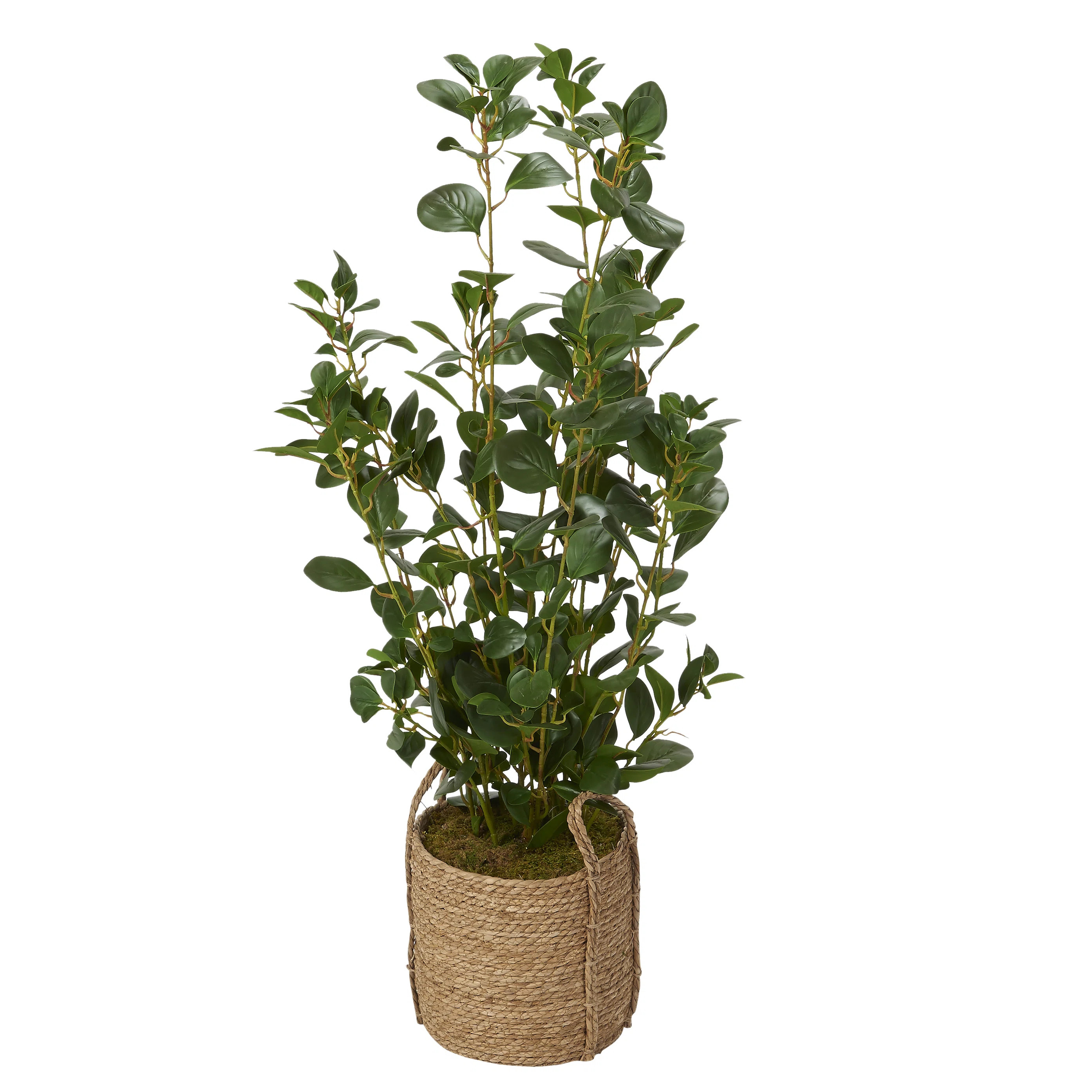 42'' Faux Green Leaf Plant Plant in Rope Basket | Wayfair North America