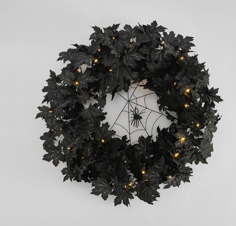 Lit Halloween Wreath

#LTKSeasonal #LTKFindsUnder50 #LTKHome