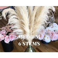 PAMPAS GRASS Medium Fluffy White 6 pcs 45  Dried Cortaderia Selloana Rustic Wedding Decor Bohemian Dried Plant  Home Decor Valentines | Etsy (US)