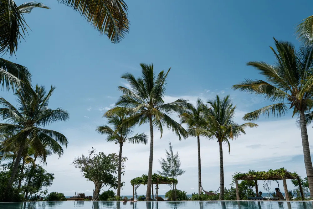 Frontier Airlines | Expedia (US)