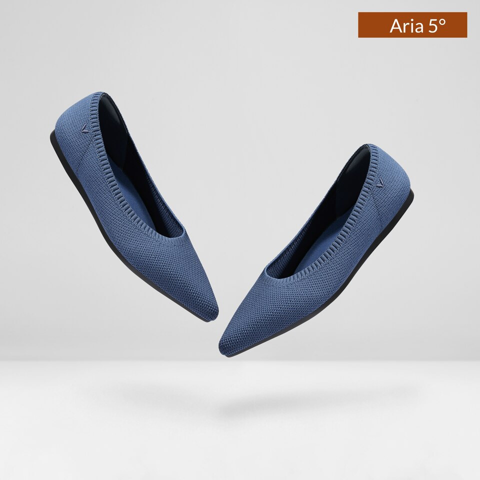 Pointed-Toe Ballet Flats (Aria 5°) | VIVAIA