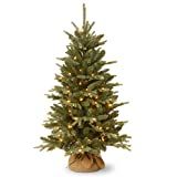 National Tree Company Pre-lit Artificial Mini Christmas Tree | Includes Small Lights and Cloth Ba... | Amazon (US)