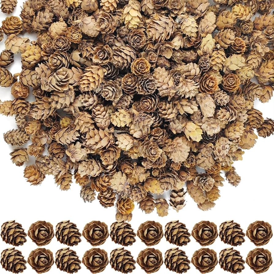 TIHOOD 160PCS 1.18"-1.97" Christmas Natural Mini Pine Cones-Thanksgiving Pine Cones Ornaments for... | Amazon (US)