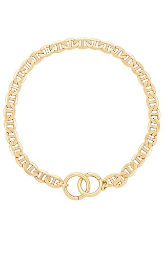 Jenny Bird X REVOLVE Chain Necklace in Metallic Gold. | Revolve Clothing (Global)