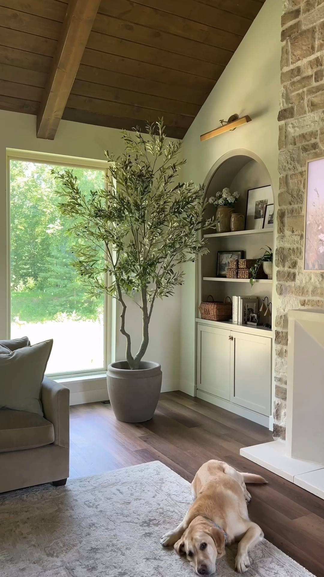 My new olive tree 😍 I have the 10 ft size and the planter is size medium! 

Living room decor 
Shelf decor

#LTKHome #LTKSeasonal