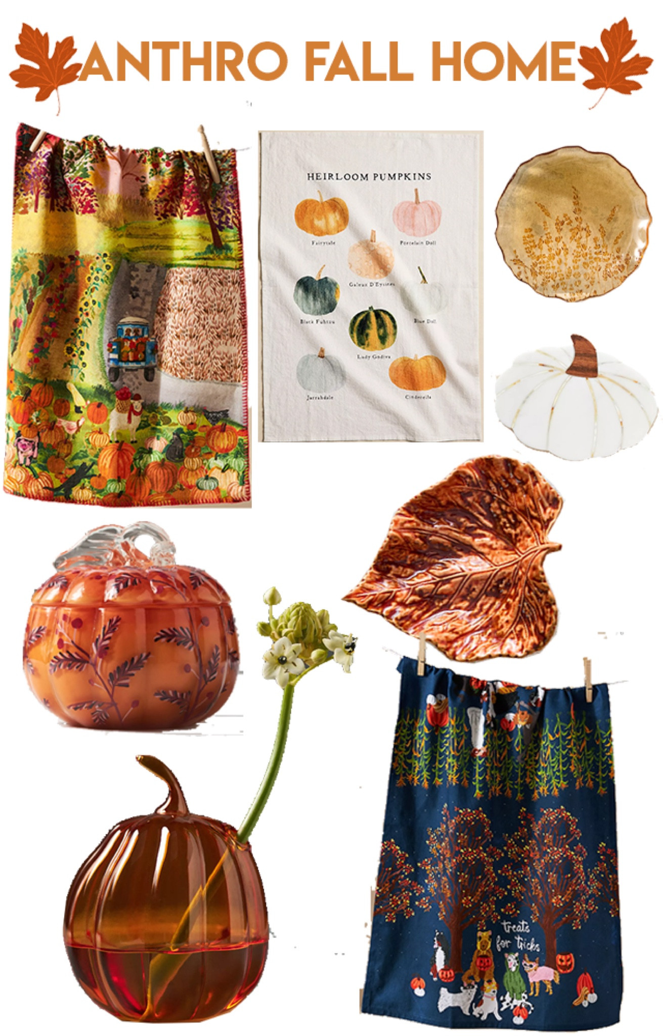 So many cute new fall pieces at anthro! 

#LTKHome #LTKSeasonal #LTKSummerSales