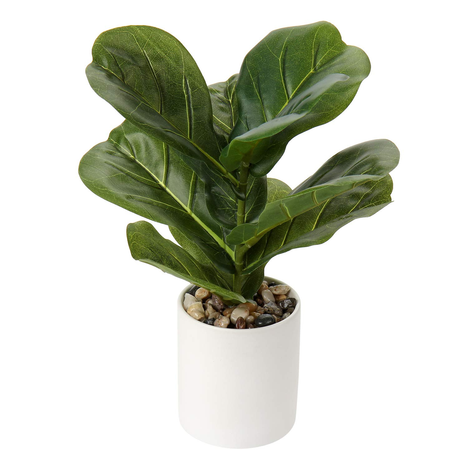 Briful | Amazon (US)