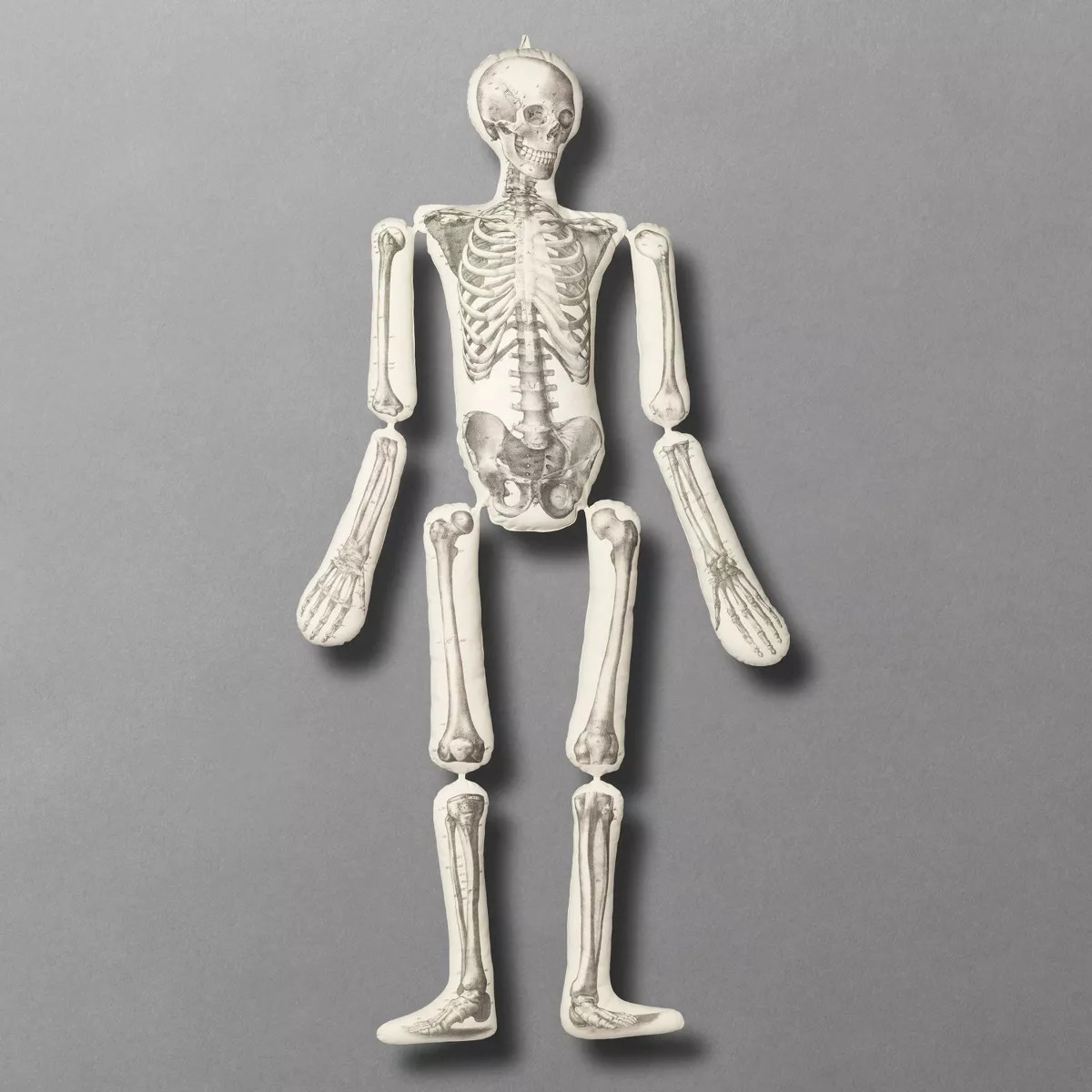 63"x15" Articulated Skeleton Novelty Plush Pillow Cream - John Derian For Target | Target