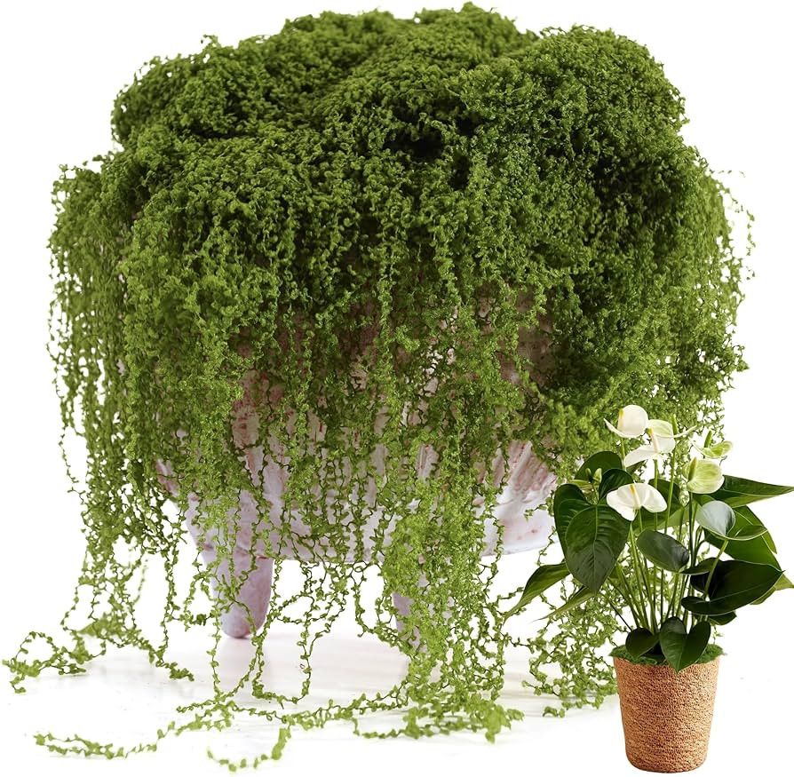 Fake Moss for Potted Plants Indoor, 7OZ Green Moss for Crafts - Realistic Faux Moss Decor for DIY... | Amazon (US)