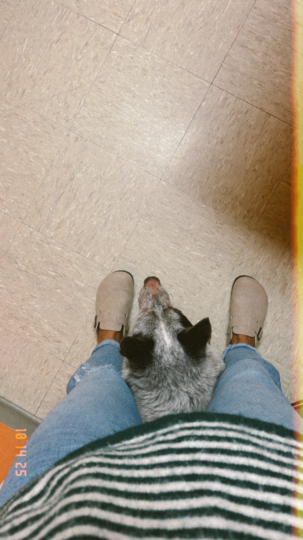 Jeans and shoes from target! 🎯 

#LTKPetite #LTKFindsUnder100