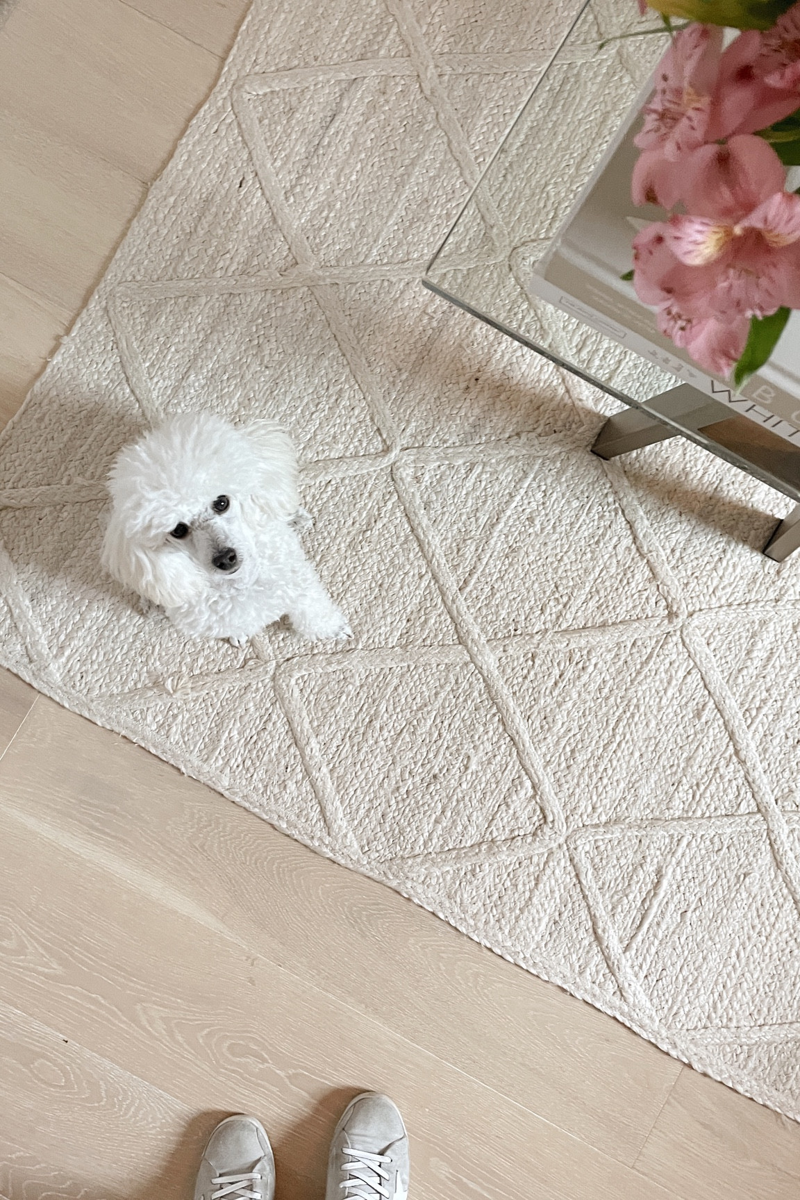 Save 20% on everything at Serena and Lily right now with code: SPRING

Serena and lily sale, home decor, spring decor, living room, bedroom, entryway, interior decor, jute rug, home office 

#LTKitbag #LTKhome #LTKsalealert