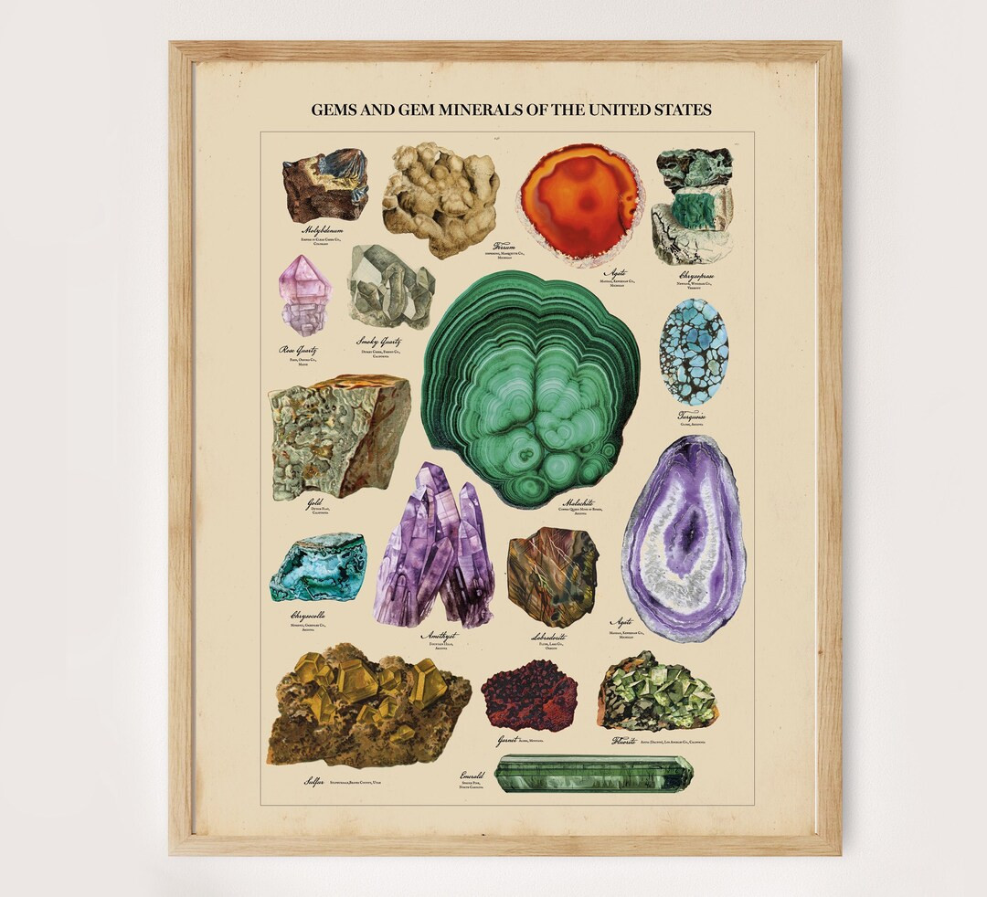 Gems of the United States Print, American Minerals Chart, Gemstone Poster, American Room Art, Geo... | Etsy (US)