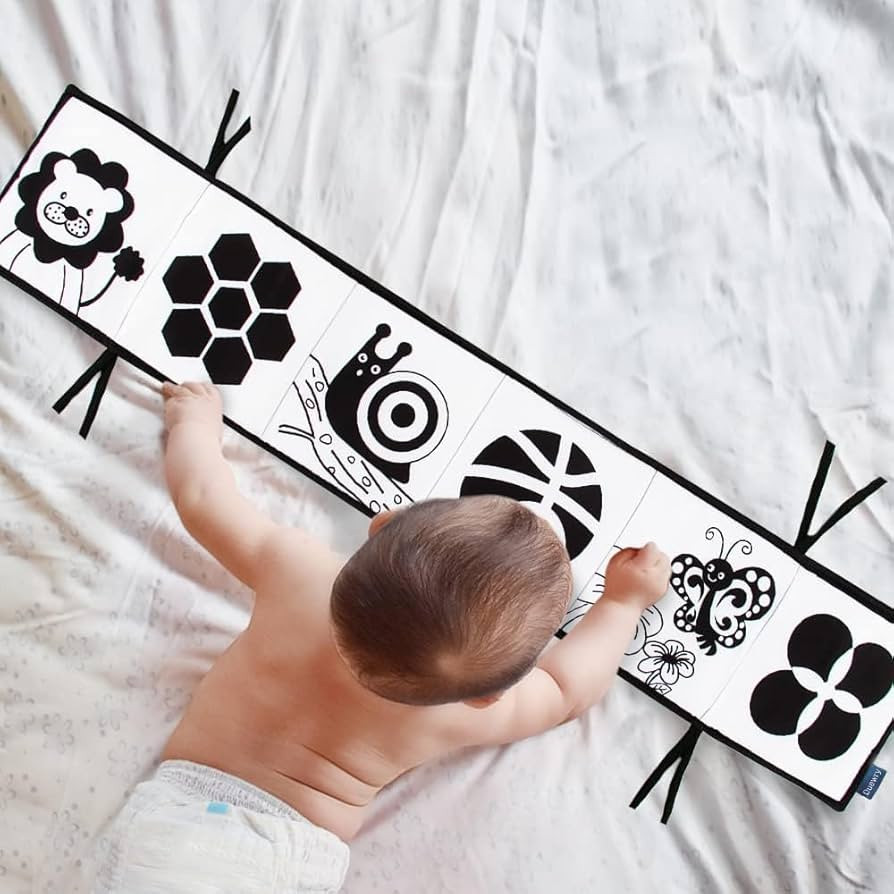 My First Black and White High Contrast Soft Book , Infant Tummy Time Toys, Black and White Baby C... | Amazon (US)