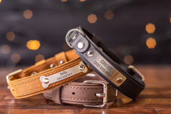 Personalized Leather Dog Collar Engraved Dog Collar Custom | Etsy | Etsy (US)
