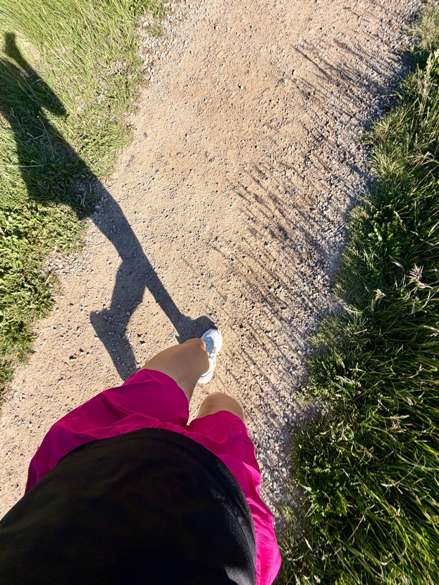 Best running shorts!

#LTKgrwm #LTKActive #LTKfitnessgoals