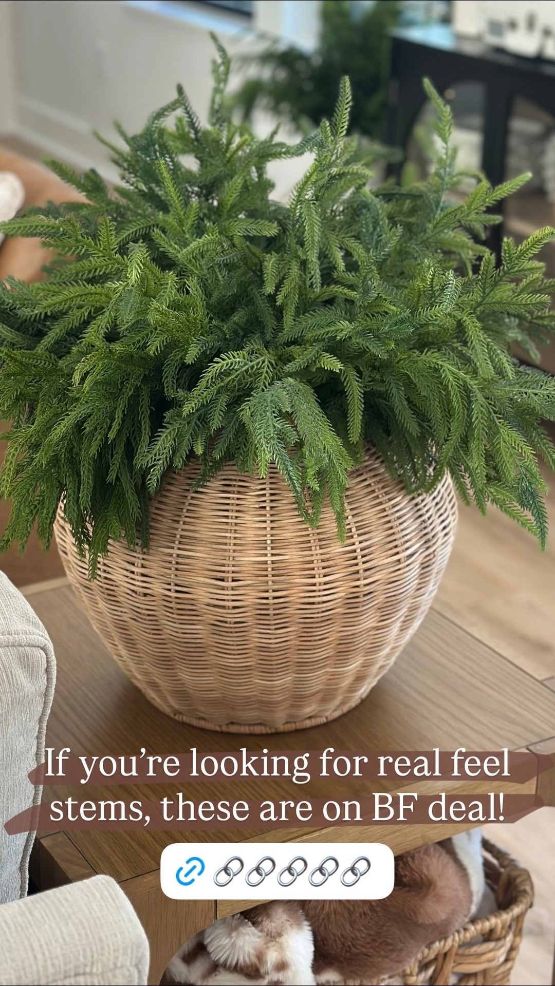 If you’re looking for real feel stems, these are on BF deal!