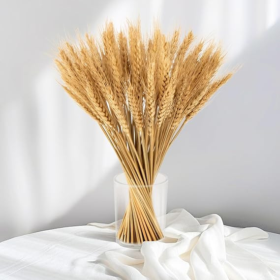 Sukh 100 Stems Dried Wheat Stalks - Boho Fall Decor for Home & Wedding | Natural Wheat Sheaves, I... | Amazon (US)
