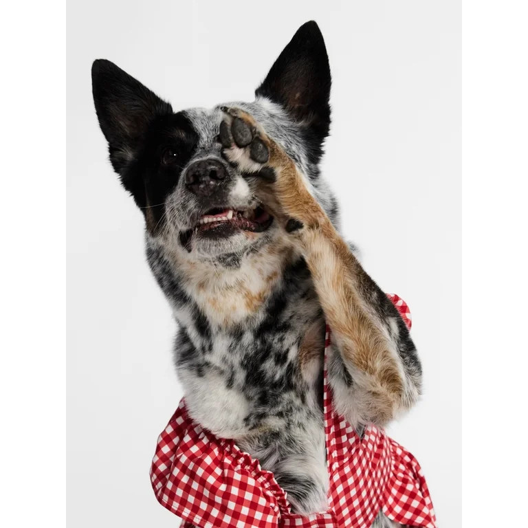 Kacey Lee Cinched Gingham Bodice Pet Dress for Cats and Dogs, Red, Small | Walmart (US)