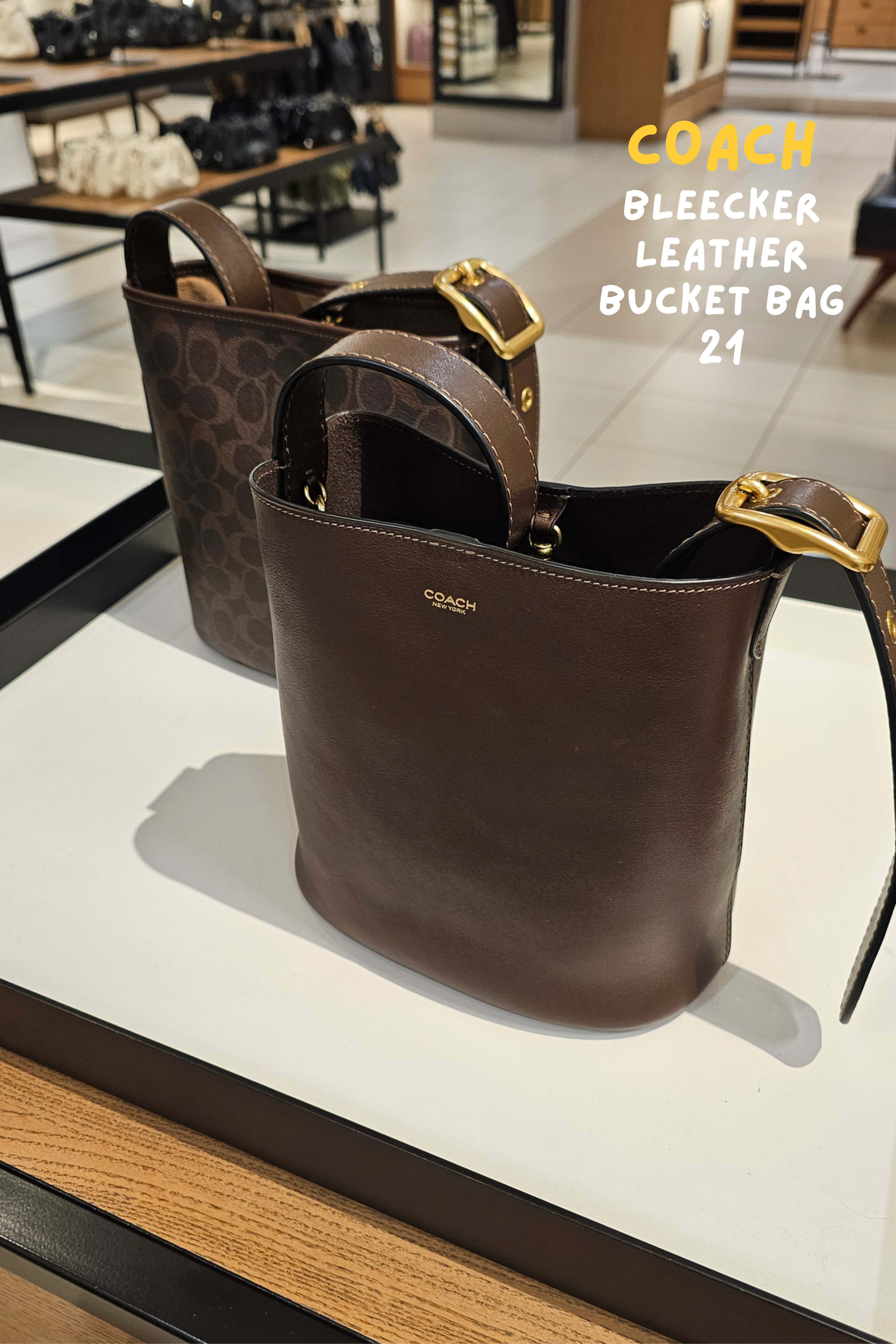 Coach Bleeker 21 Bucket Bag!  

 #LTKstyletip #LTKbag #LTKgiftguide