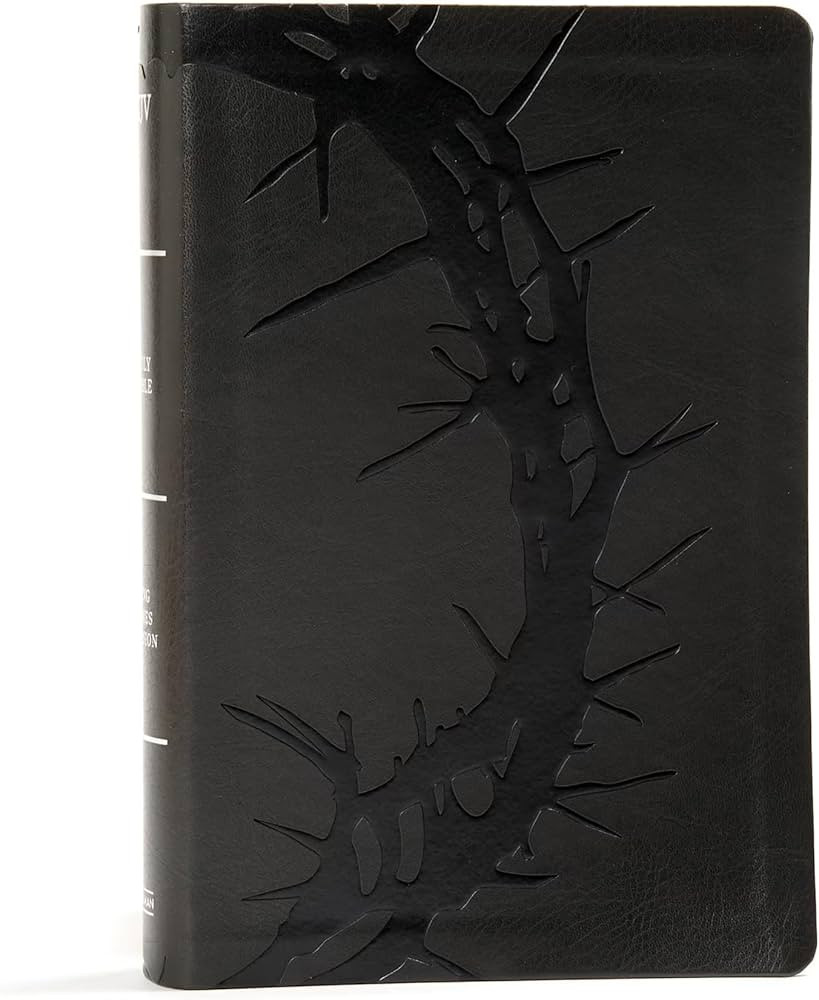 KJV Large Print Personal Size Reference Bible, Charcoal LeatherTouch Crown of Thorns, Indexed, KJ... | Amazon (US)