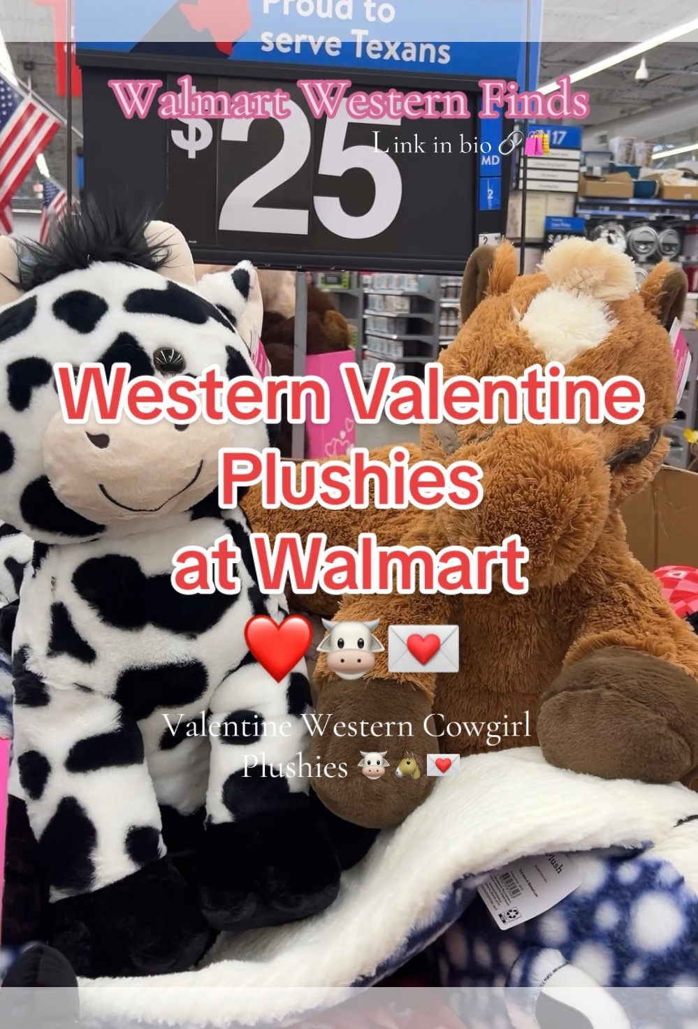 The cutest and softest valentine plushes for a cowgirl  💌🐮🐴❤️￼

#LTKSaleAlert #LTKSeasonal #LTKValentine