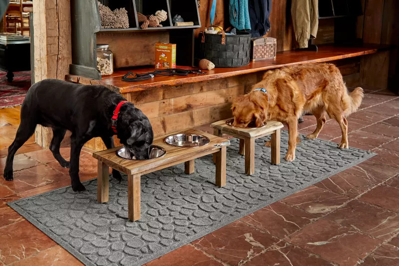 Natural Edge Dog Feeder | Orvis (US)