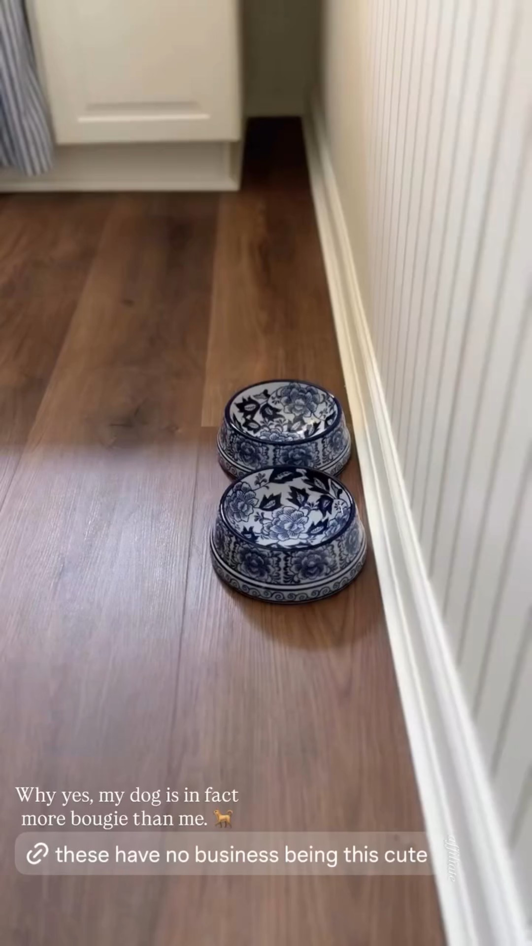 Cute dog bowls!

Chinoiserie 

#LTKHome