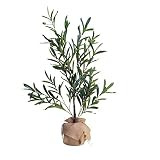 Elements Artifical Olive Tree with Burlap Covered Pot, Faux Tree, Olea Europaea, Fake Plant for Indo | Amazon (US)
