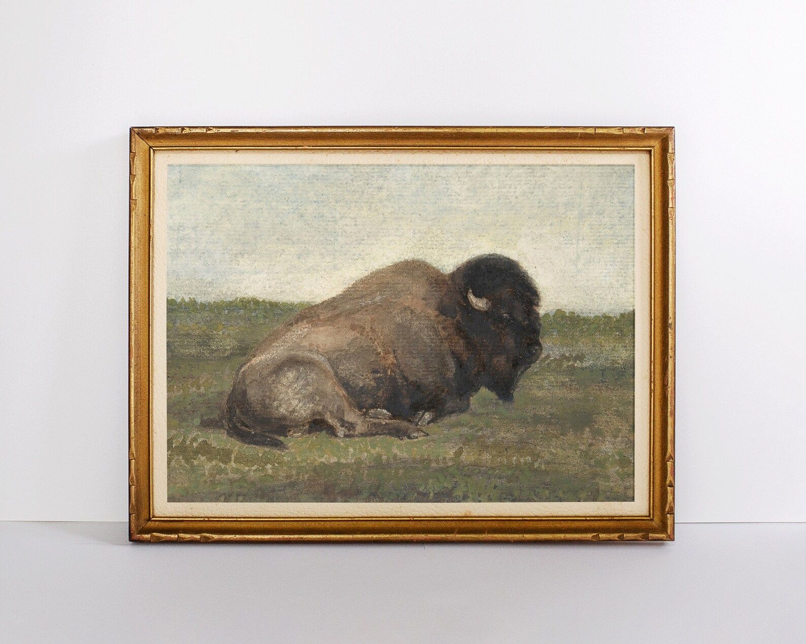 BUFFALO Vintage Buffalo Painting Bison Print Vintage Watercolor Digital Download Vintage Animal A... | Etsy (US)