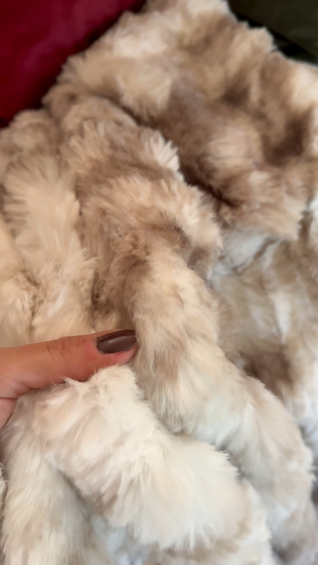 So soft! Perfect gift idea. Great all winter long.

#LTKGiftGuide #LTKSeasonal #LTKHome