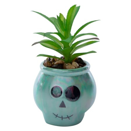 Skull Faux Succulent | Five Below